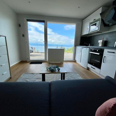 Les Vies En Rose Apartment Evian-les-Bains Ngoại thất bức ảnh