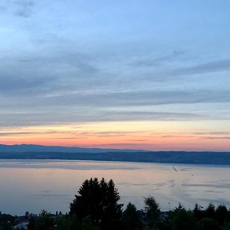 Les Vies En Rose Apartment Evian-les-Bains Ngoại thất bức ảnh