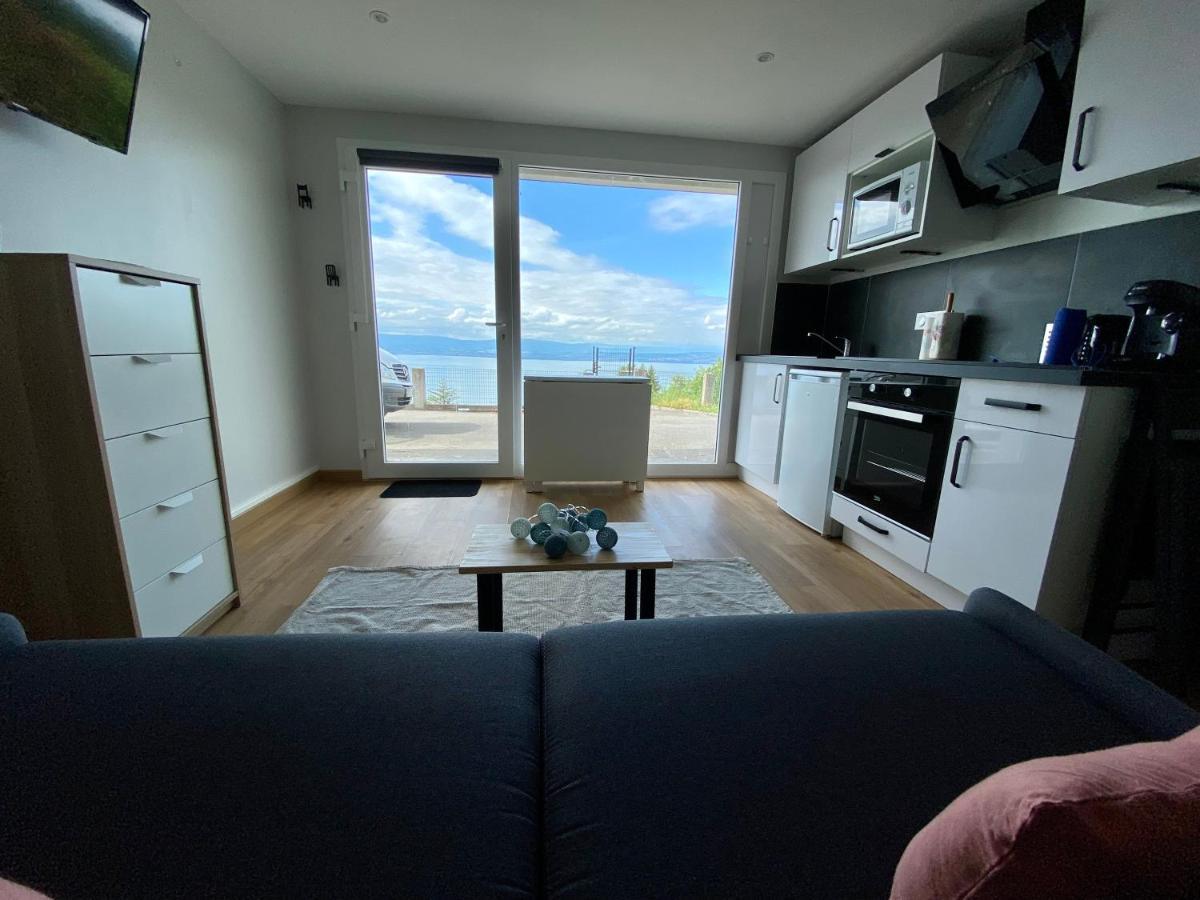 Les Vies En Rose Apartment Evian-les-Bains Ngoại thất bức ảnh