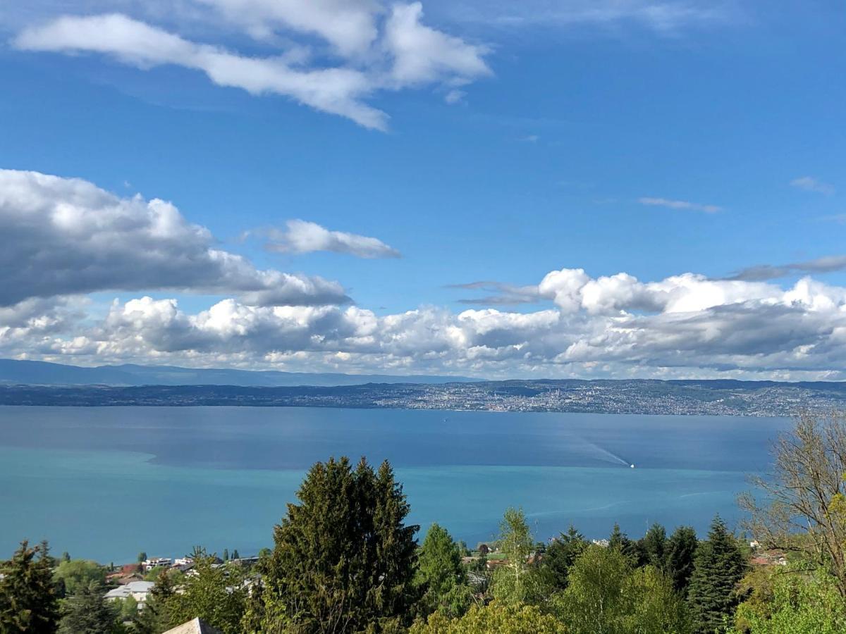 Les Vies En Rose Apartment Evian-les-Bains Ngoại thất bức ảnh