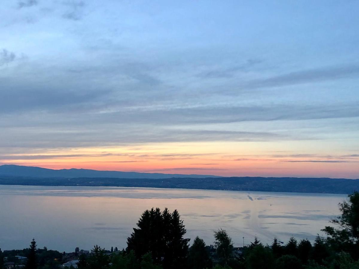 Les Vies En Rose Apartment Evian-les-Bains Ngoại thất bức ảnh